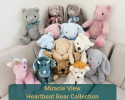A wide variety of Heartbeat bears, gender reveal cannons, gender reveal balloons, gender reveal surprises and gifts, scan pictures,